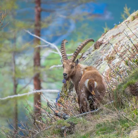 Haus Alte Baeckerei Διαμέρισμα