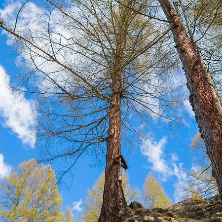 Apartment Haus Alte Baeckerei Randa